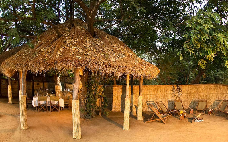 Island Bush Camp