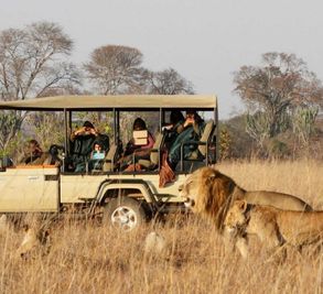 Game Drives