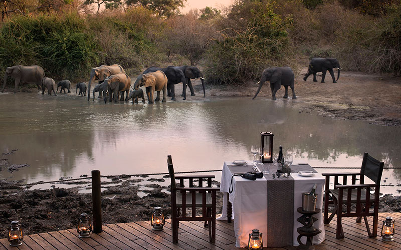 Kanga Bush Camp
