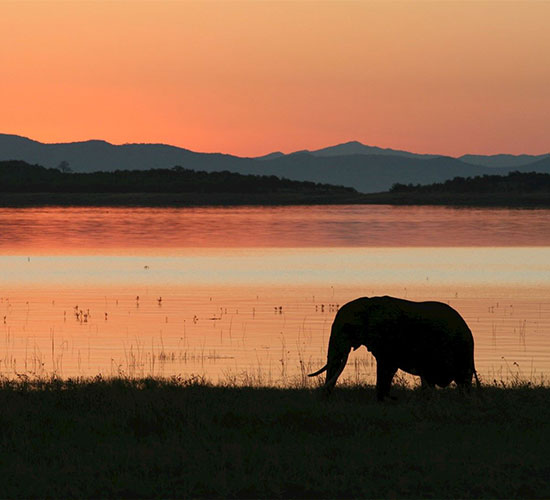 Game Drives along the lake shoreline