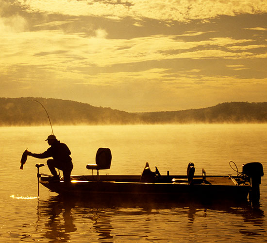 Fishing and game viewing by boat