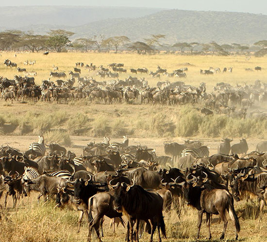 Kenya