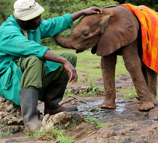 Kenya