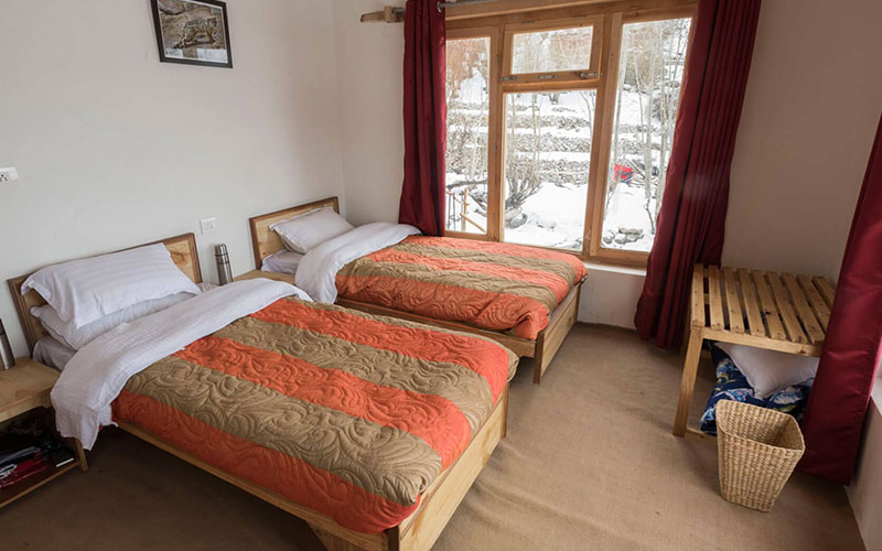 Leopard Lodge