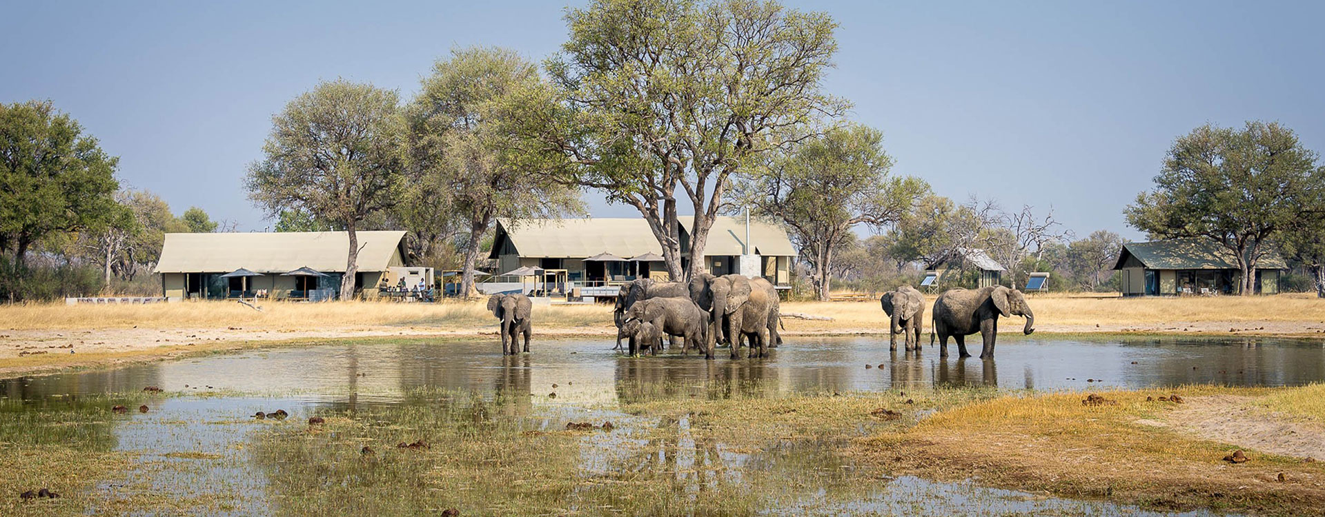 Linkwasha Camp