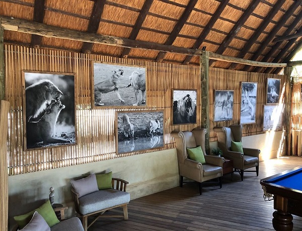 Lion Camp Safaris