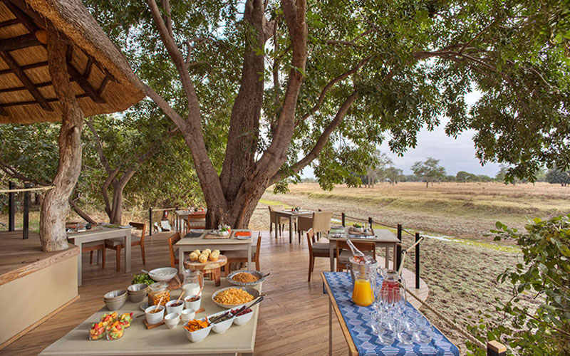 Lion Camp Safaris