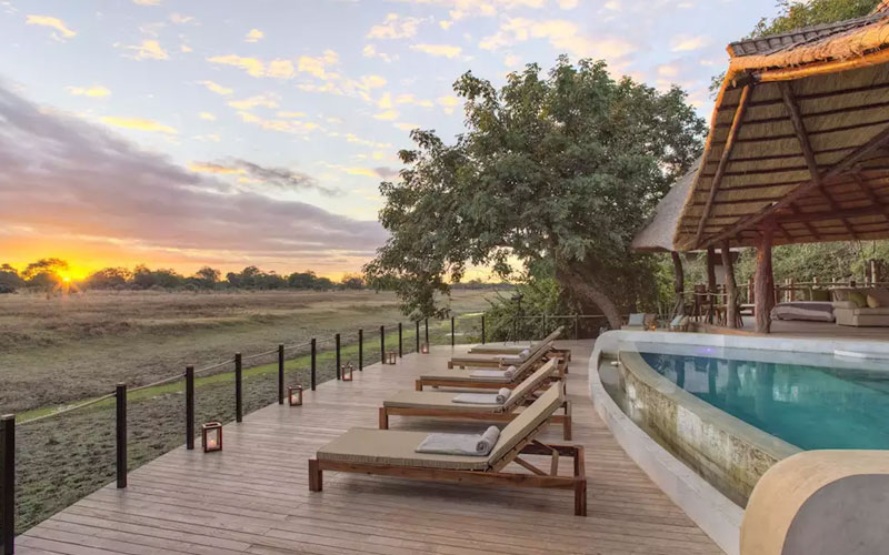 Lion Camp Safaris