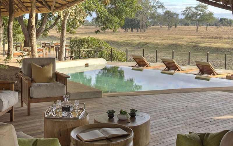 Lion Camp Safaris