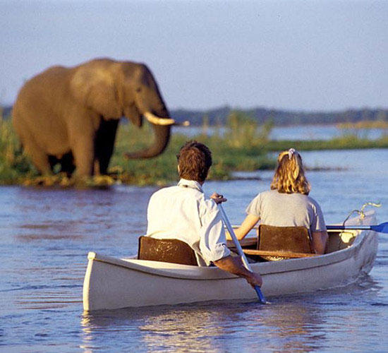 Canoe Trips