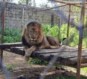 Munda Wanga Park