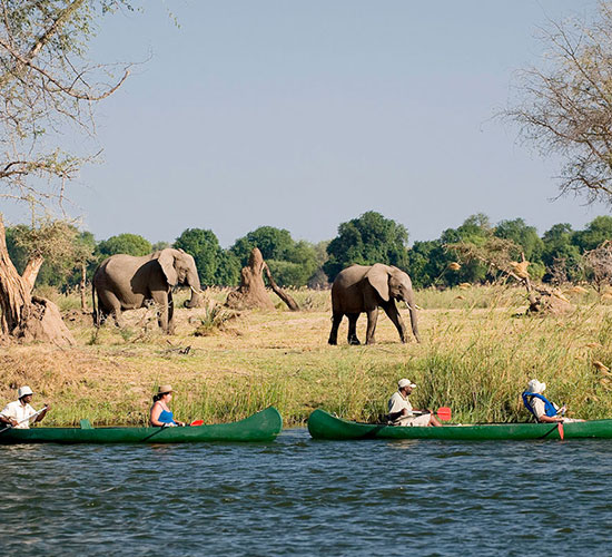 Game Viewing