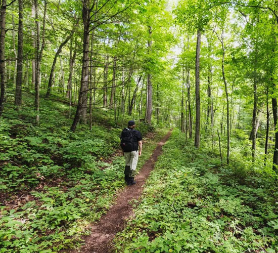 Walking Trails