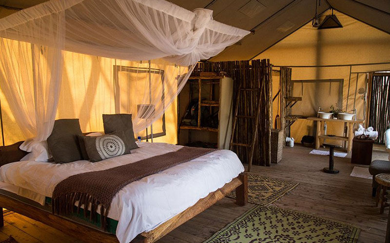 Miombo Elephant Camp