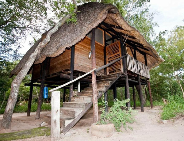 Miombo Elephant Camp