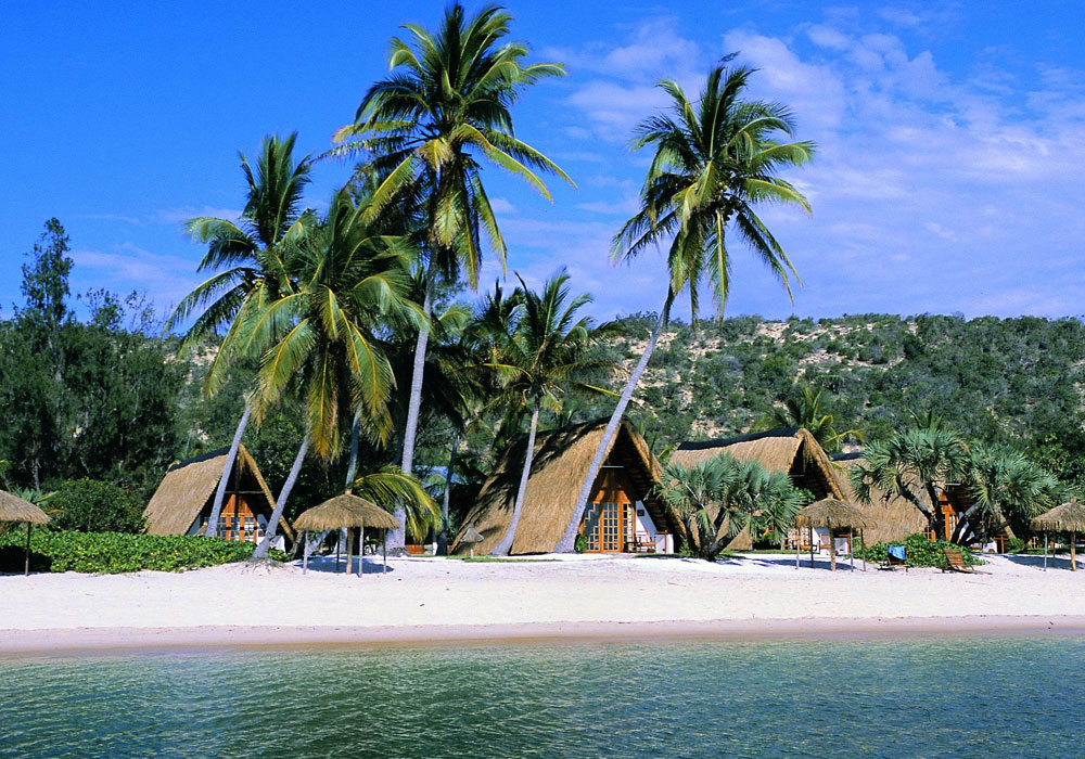 Mojo Safari Island