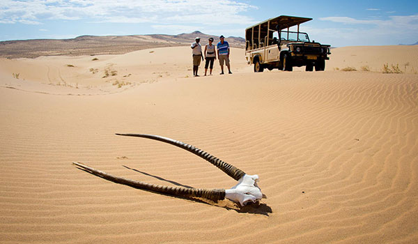 4 Day Skeleton Coast Safari Combined With Sossusvlei