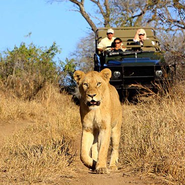 12 Day Exploring Namibia