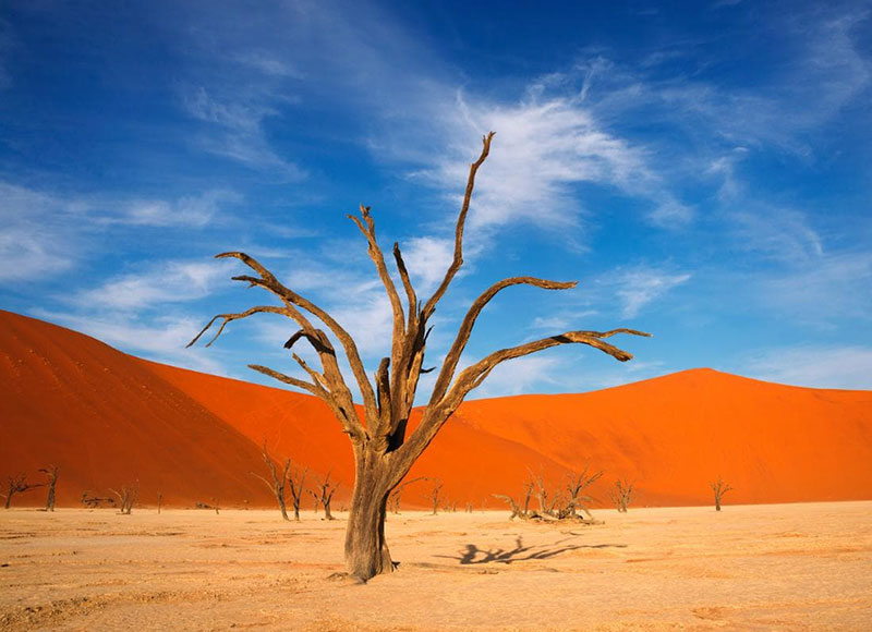 Sossusvlei