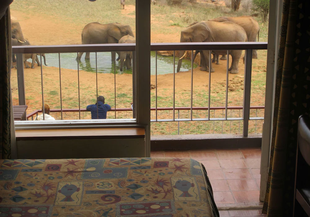 Ngulia Safari lodge