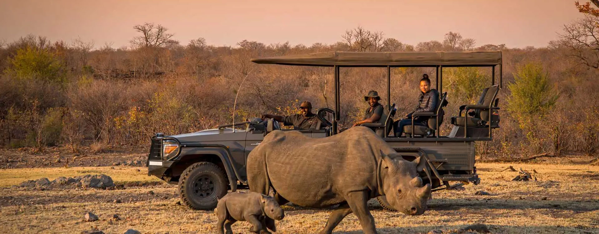 Night Game Drive & Bush Dinner 