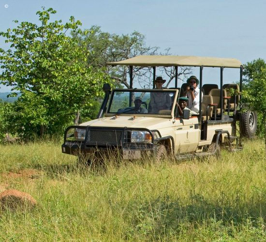 Game Drive