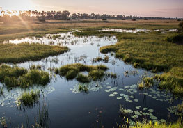 Okavango Delta Map