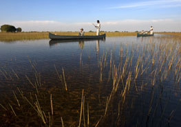 Okavango Delta Safari Cost