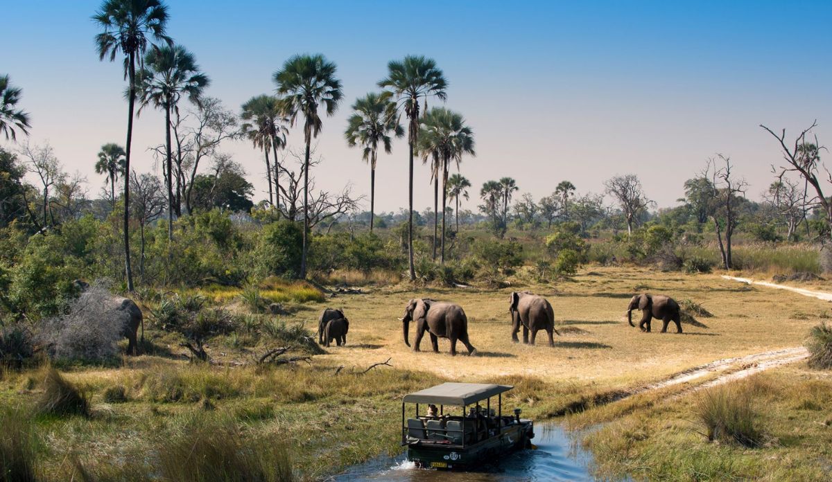 Okavango Delta Safari Packages