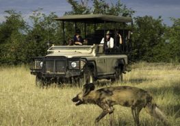 Okavango Delta Safari Packages