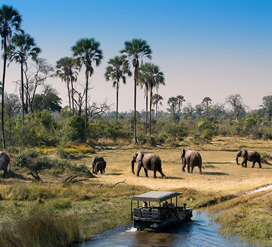 Game Drive