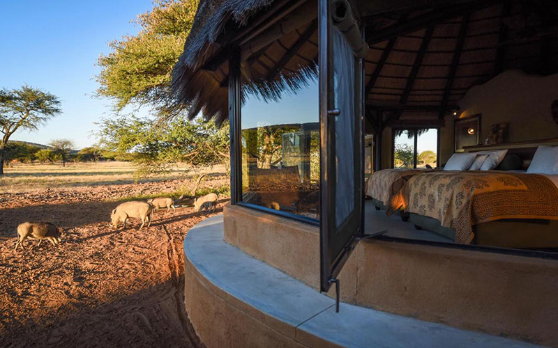 Okonjima Main Camp
