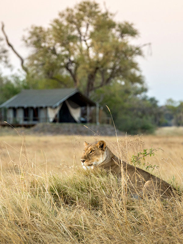 58 Days Best Of Africa South