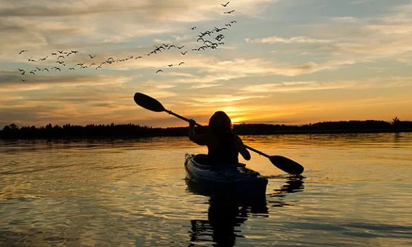Victoria Falls Overnight Canoe Safaris 
