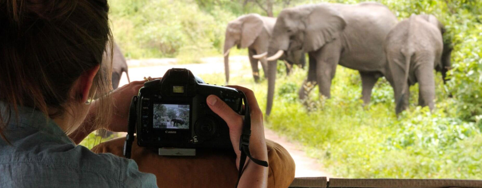 Victoria Falls Photographic Safari