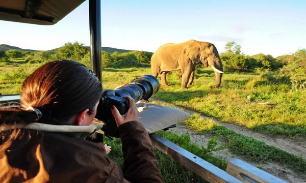 Victoria Falls Photographic Safari