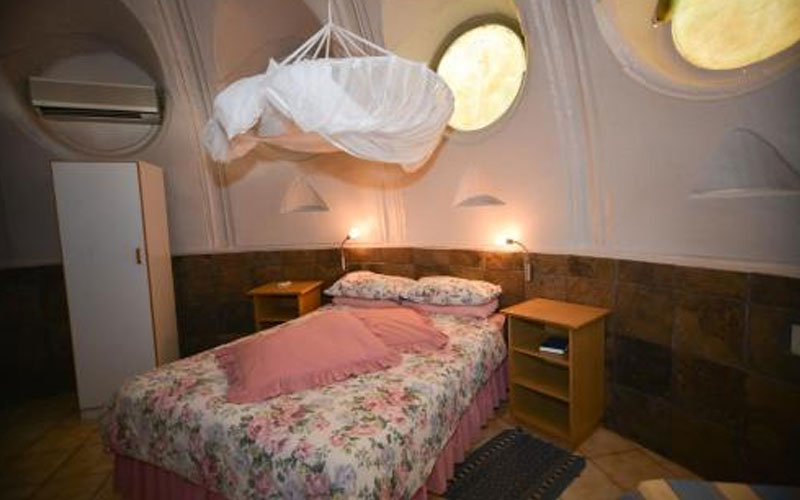 Quiver Tree Forest Rest Camp
