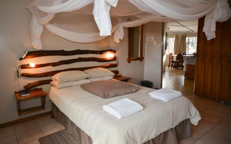Quiver Tree Forest Rest Camp