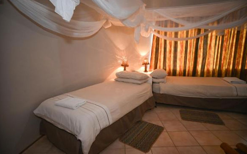 Quiver Tree Forest Rest Camp