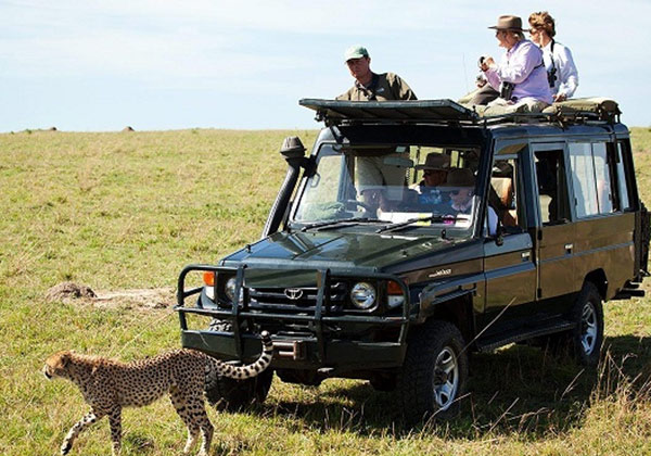 Botswana Safari Packages