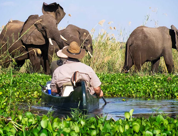Ruwesi Canoe Trail