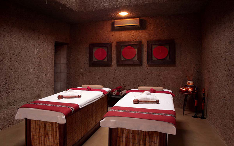 Sabi Sabi Earth Lodge
