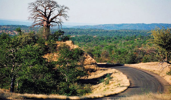 Warm Heart Safari