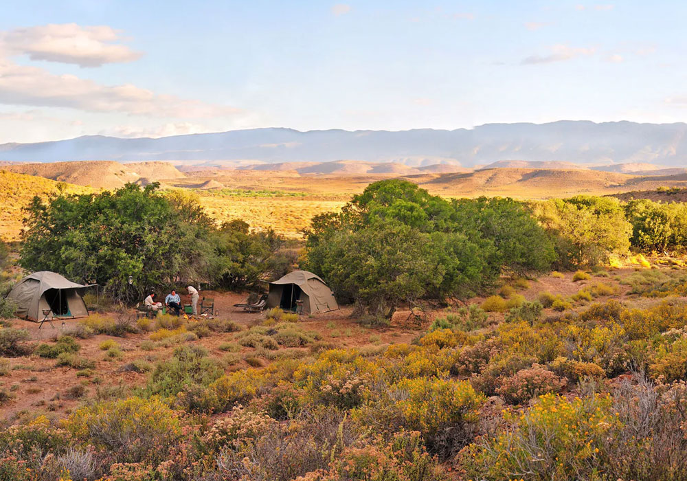 Sanbona Explorer Camp