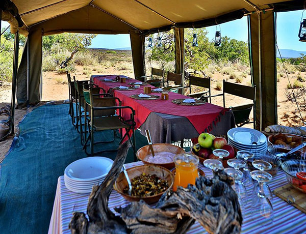 Sanbona Explorer Camp