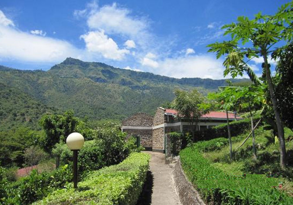 Sego Safari Lodge