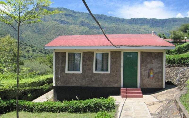 Sego Safari Lodge