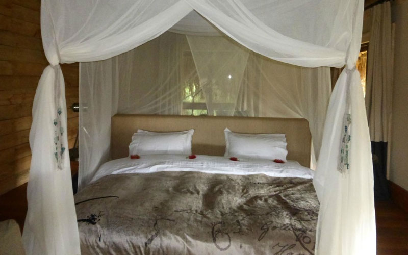 Serega Retreat Lodge