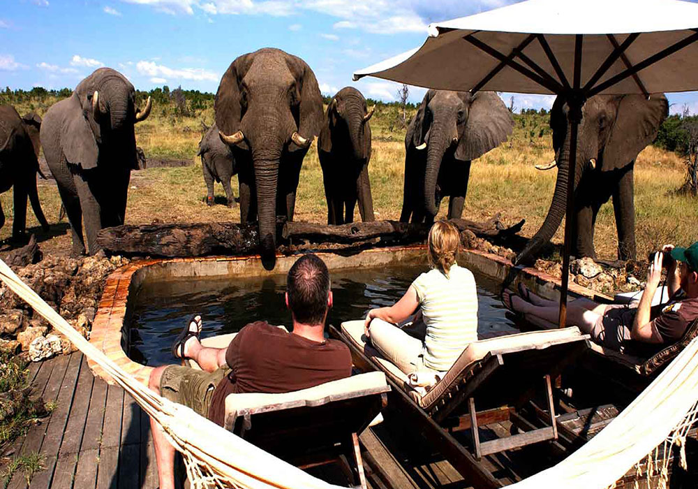 Somalisa Expeditions