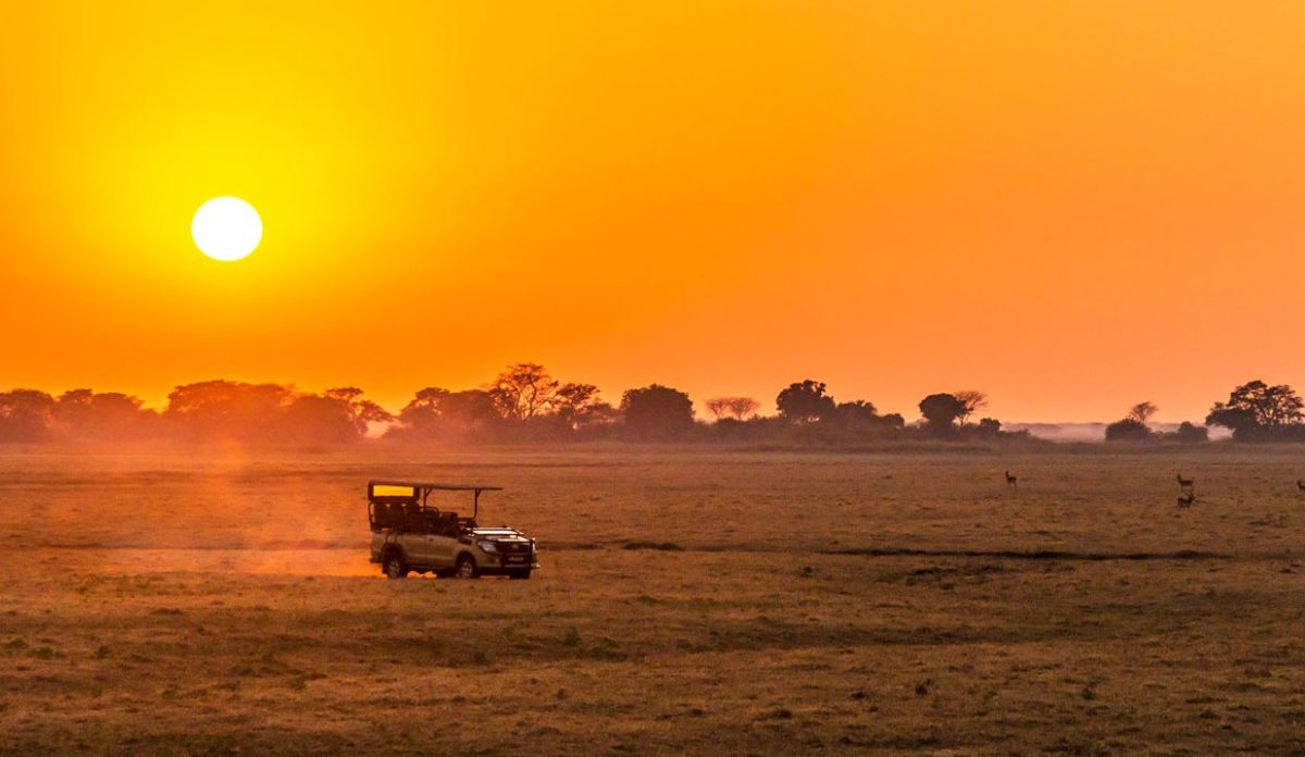 South Africa Safari Cost